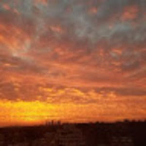 Meet your Posher, Lynn